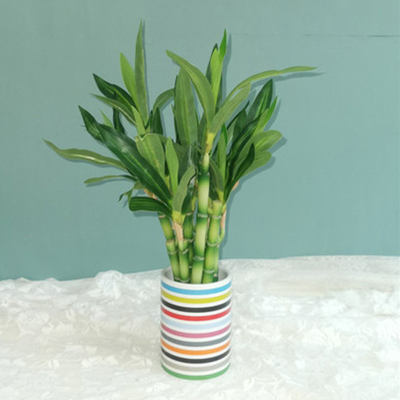 New 40cm rFtificial Lucky Bamb – обзор и цена Desktop Organizer Bamboo